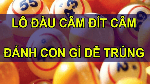 Có rất nhiều con số mang về may mắn cho lô thủ qua cách soi cầu đầu đít câm